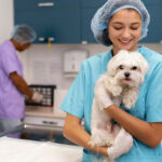 The Importance of Pet Dental Care: Why It Matters