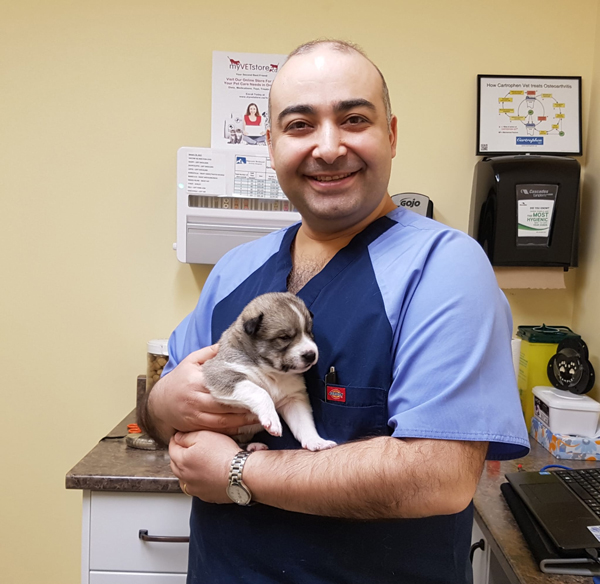 southdale animal hospital